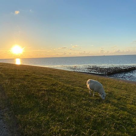 Wierums Huske Aan De Waddenzee Unesco Werelderfgoed Zewnętrze zdjęcie