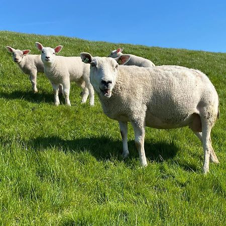 Wierums Huske Aan De Waddenzee Unesco Werelderfgoed Zewnętrze zdjęcie