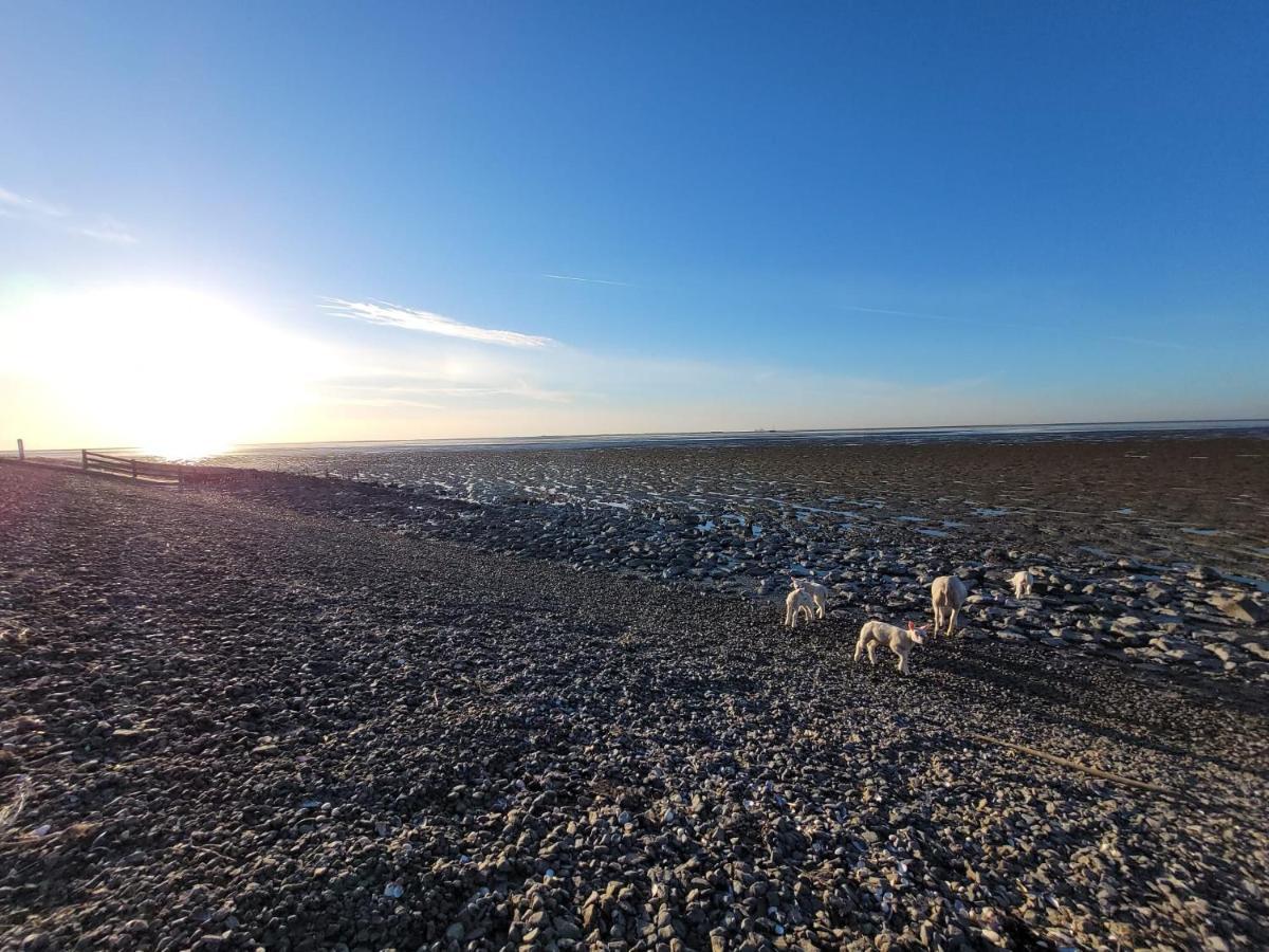 Wierums Huske Aan De Waddenzee Unesco Werelderfgoed Zewnętrze zdjęcie