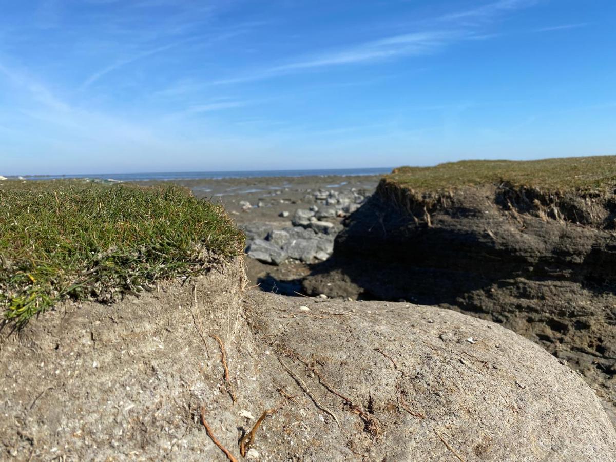 Wierums Huske Aan De Waddenzee Unesco Werelderfgoed Zewnętrze zdjęcie