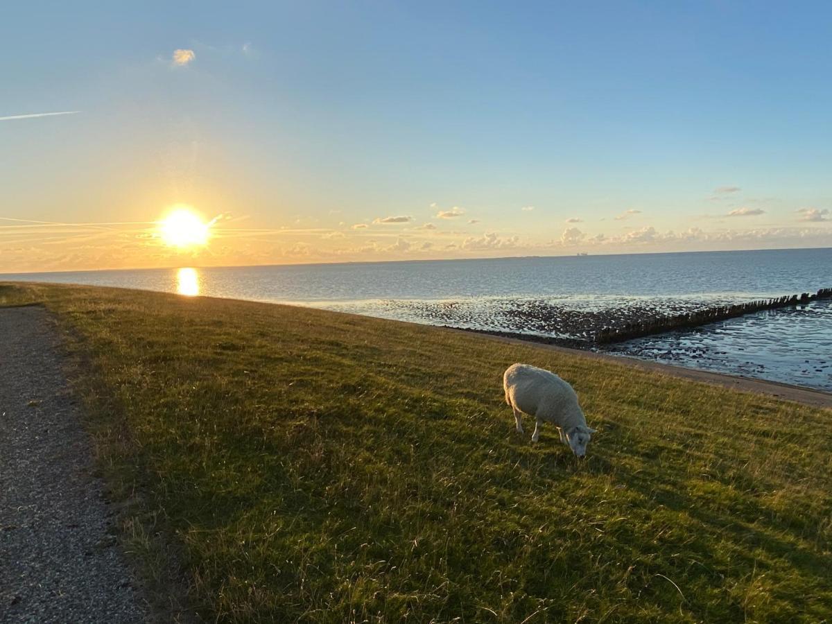 Wierums Huske Aan De Waddenzee Unesco Werelderfgoed Zewnętrze zdjęcie