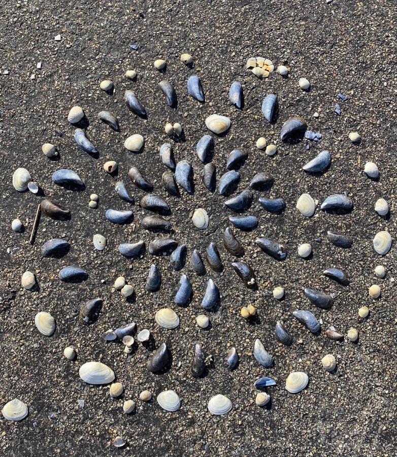 Wierums Huske Aan De Waddenzee Unesco Werelderfgoed Zewnętrze zdjęcie